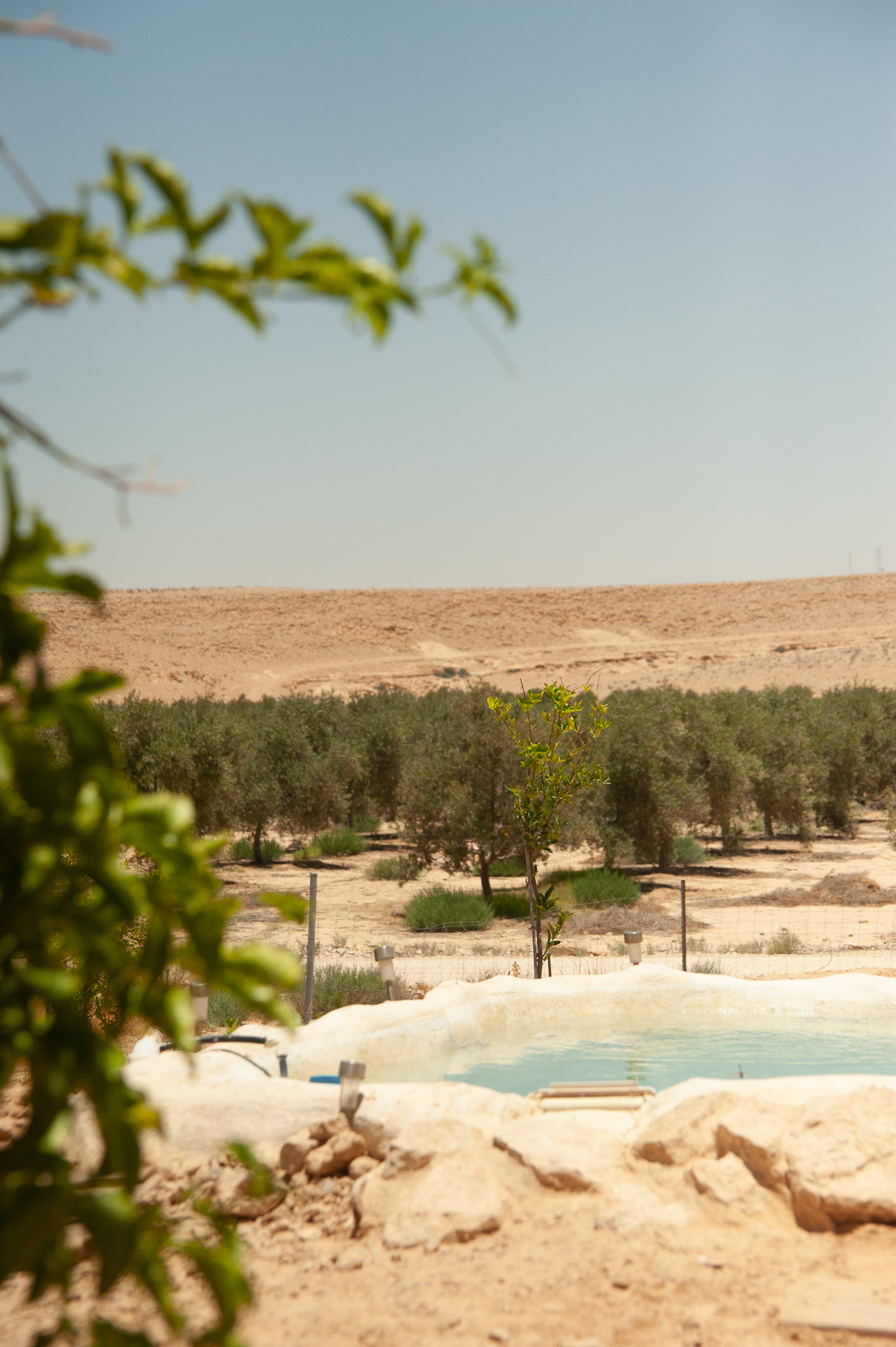 בריכה וכרם — מסלולי טיול