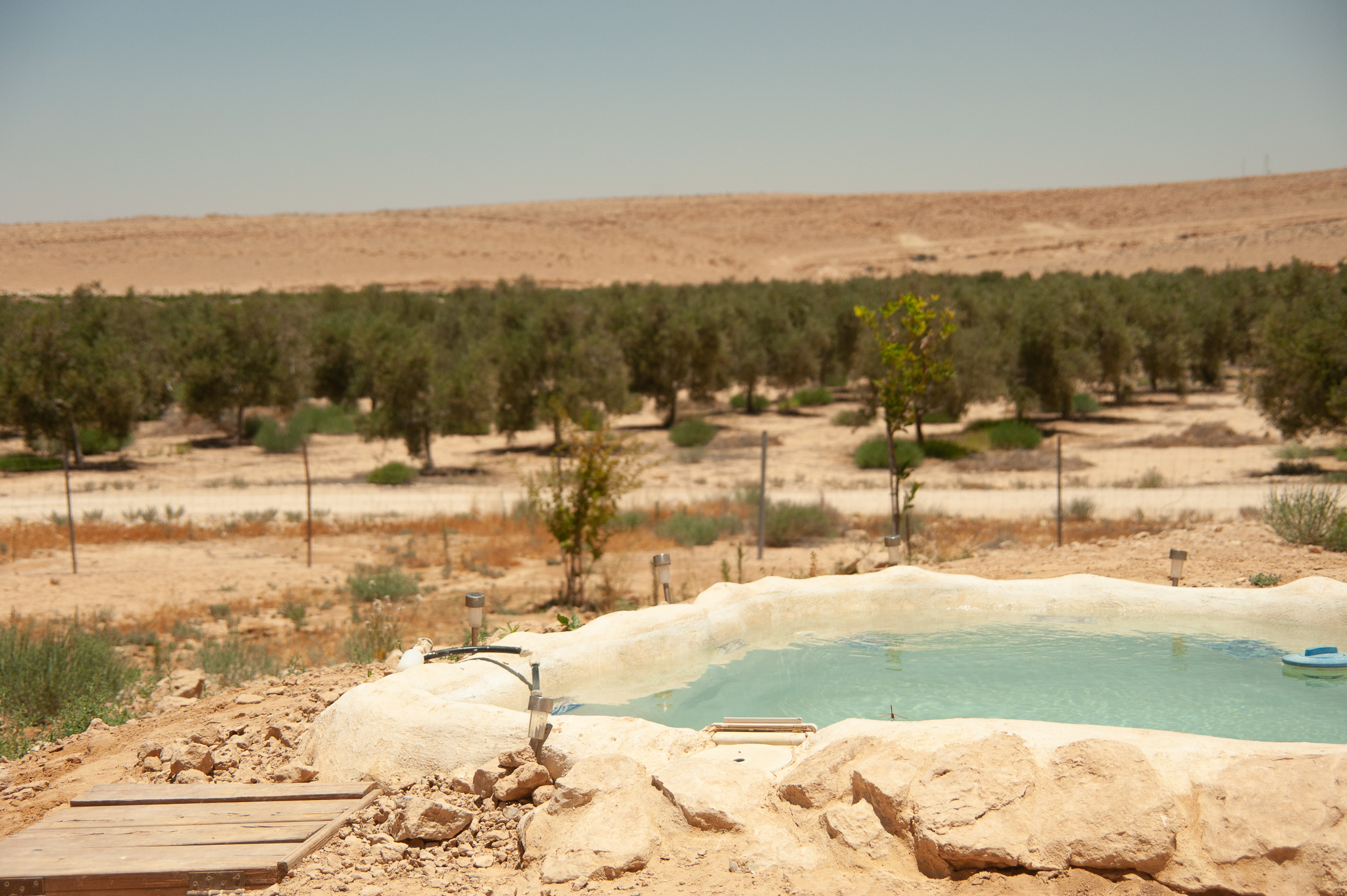 בריכה עם נוף להרי המדבר